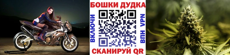 Где продают наркотики Дыгулыбгей A PVP Меф мяу мяу Кокаин Гашиш АМФЕТАМИН кракен ONION Бошки Шишки Псилоцибиновые грибы