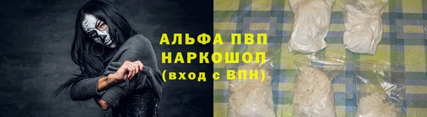 твердый Аркадак