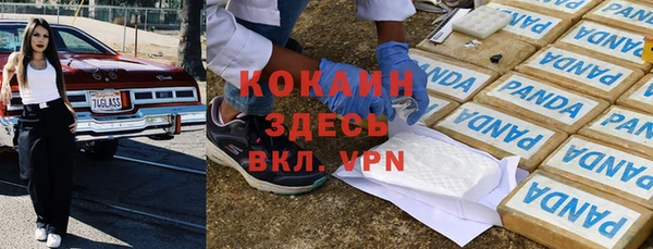 твердый Аркадак